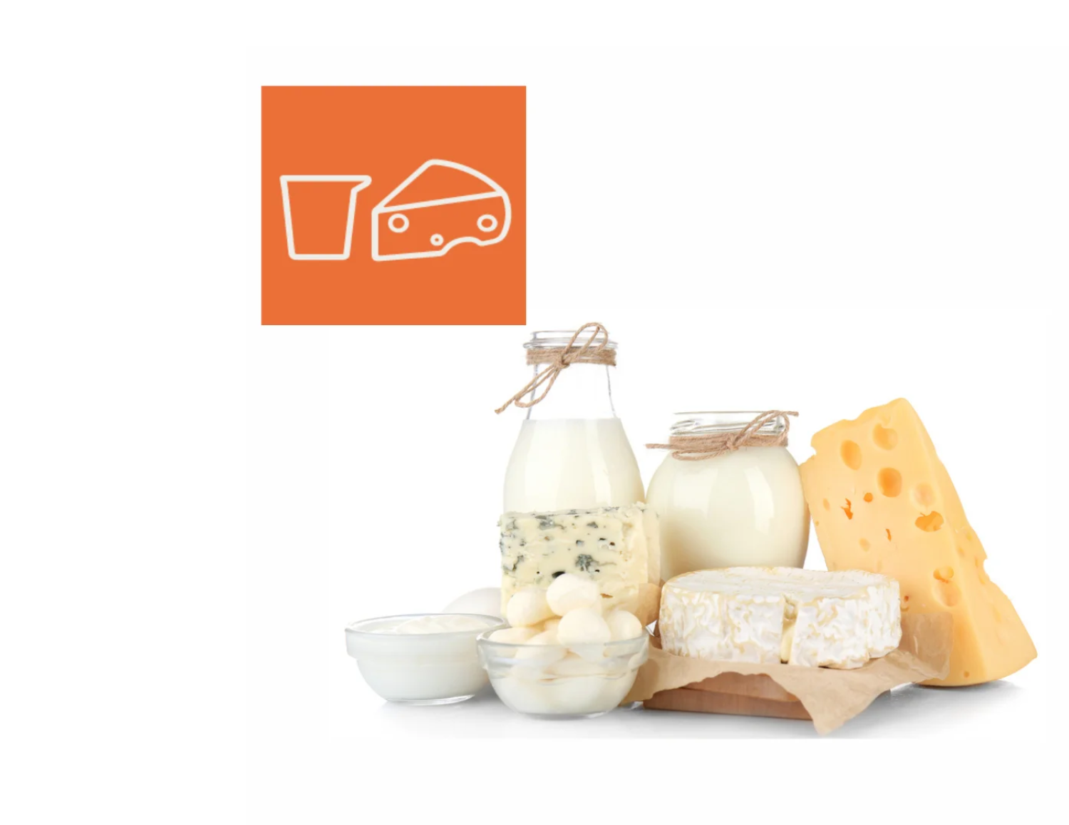 Food Safety, Quality, and Traceability Solutions for the Dairy Food Industry