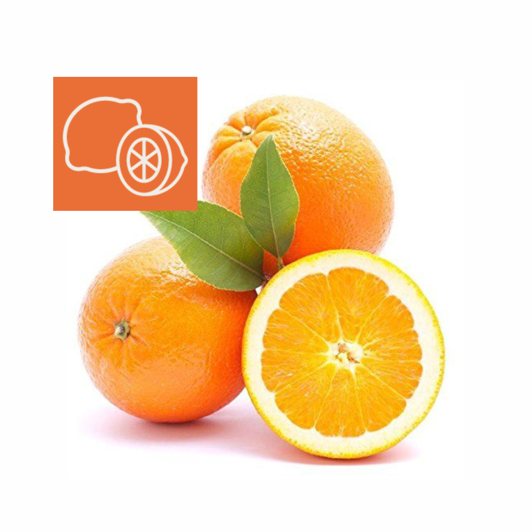 Innovative Citrus Inspection Solutions with AI | BIOMETiC