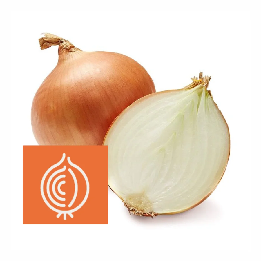 Top Onion Grading Solutions for Maximum Quality | BIOMETiC