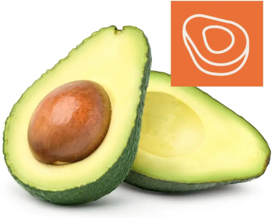 Advanced Avocado Sorting: AI-Powered Quality Solutions