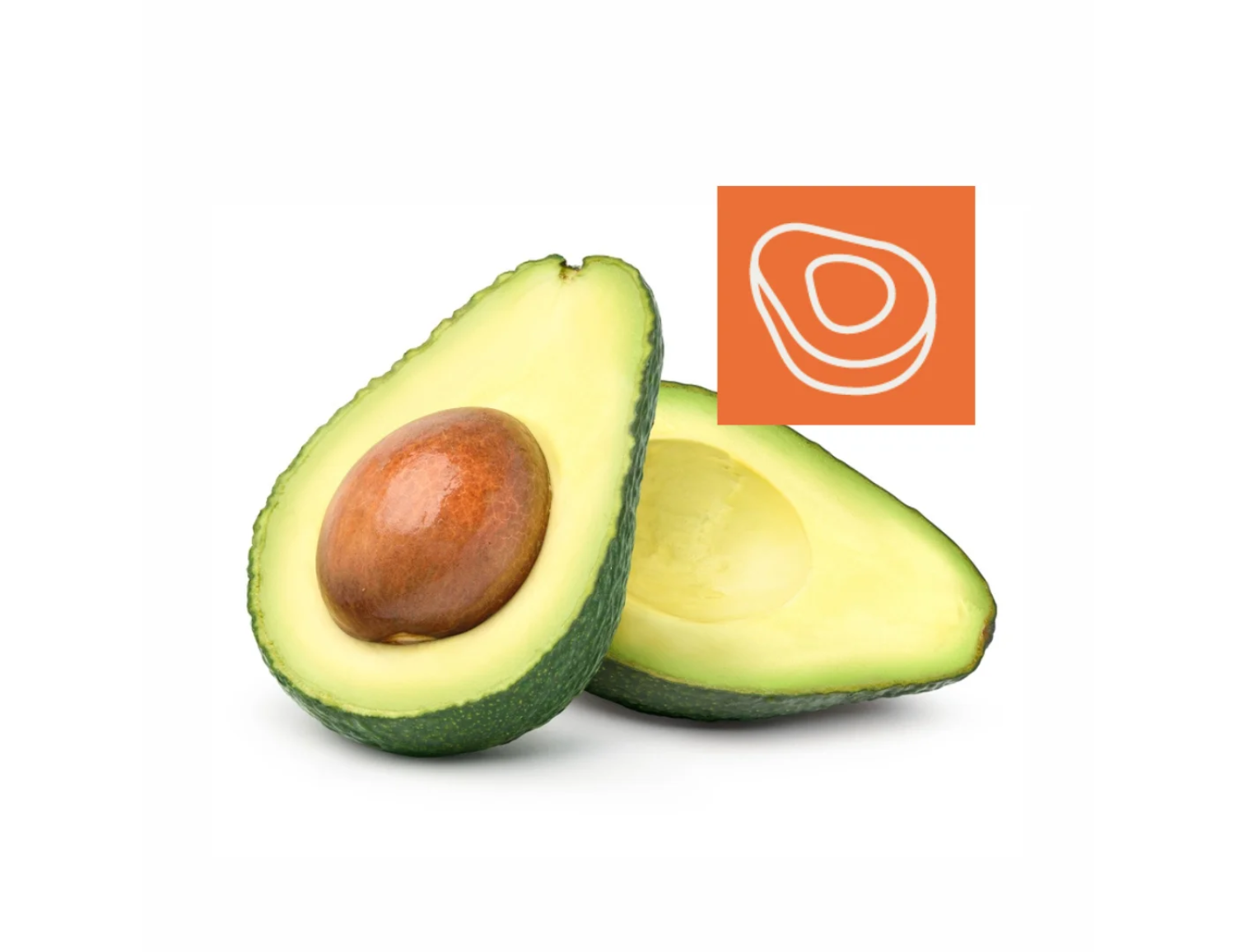 Advanced Avocado Sorting: AI-Powered Quality Solutions