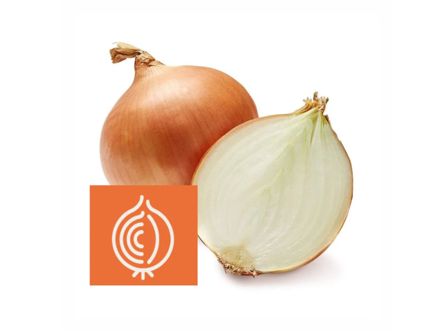 Top Onion Grading Solutions for Maximum Quality | BIOMETiC